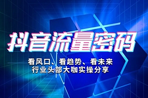 抖音流量密码:打造爆款赚钱账号,年入千万的秘密分享