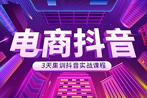 某音电商集训实战