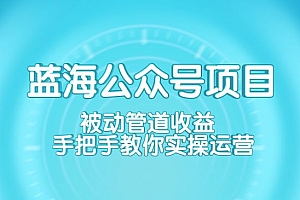 蓝海公众号项目训练营 被动管道收益 手把手教你实操运营