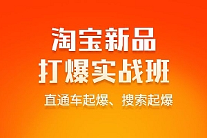 淘宝新品打爆实战班,直通车起爆、搜索起爆(价值599元)