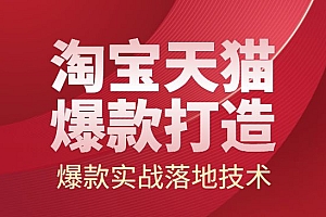 2022淘宝天猫爆款打造系列课:爆款实战落地技术教程