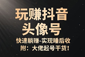 从0到1玩赚抖音头像号:快速躺赚-实现睡后收!附:大佬起号干货