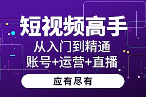 短视频高手实操课:从入门到精通,账号+运营+直播,应有尽有