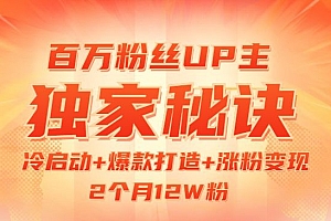 百万粉丝UP主独家秘诀:冷启动+爆款打造+涨粉变现 2个月12W粉