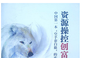 资源操控创富术3.0完整版—第一本“空手套白狼”的实战赚钱秘术
