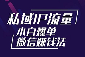私域IP流量密训:小白也能爆单的微信赚钱法,从月薪三千到月入10000+