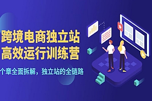 跨境电商独立站高效运行训练营,6个章节全面拆解,独立站的全链路