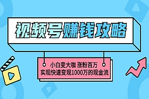 玩转微信视频号赚钱:小白变大咖 涨粉百万 实现快速变现1000万的现金流