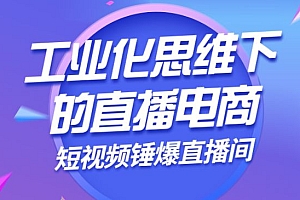 工业化思维下的直播电商之短视频锤爆直播间,听话照做执行爆单
