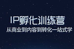 商业IP孵化训练营,从商业到内容到转化一站式学
