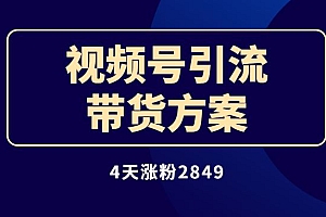 4天涨粉2849,我做视频号引流 带货方案