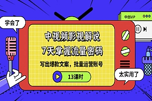 中视频影视解说—掌握流量密码,自媒体运营创收,批量运营账号