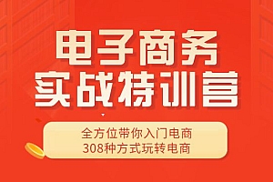 电子商务实战特训营,全方位带你入门电商,308种方式玩转电商