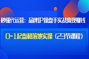 品牌IP操盘手实战赚钱,0-1起盘和落地实操