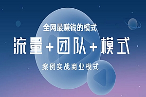 全网最赚钱的模式《流量+团队+模式》案例实战商业模式