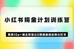 《小红书捞金计划训练营》粉丝10w+博主带你从0粉到变现玩转小红书