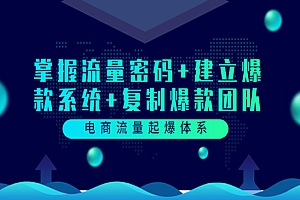 电商流量起爆体系:掌握流量密码+建立爆款系统+复制爆款团队(价值599)