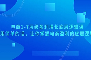 用简单的话,让你掌握电商盈利的底层逻辑