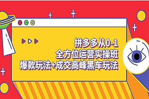 拼多多从0-1全方位运营实操班:爆款玩法+成交高峰黑车玩法(价值1280)