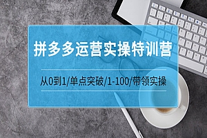 拼多多运营实操特训营:从0到1/单点突破/1-100/带领实操 价值2980元