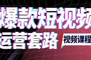 2022年新版短视频如何上热门实操运营思路,涨粉10W+背后经验(17节视频课)