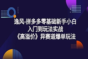 拼多多零基础新手小白入门到玩法实战《高溢价》异赛道爆单玩法实操课