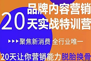 《内容营销实操特训营》20天让你营销能力脱胎换骨(价值3999)