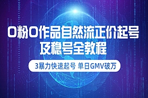 暴力快速起号 单日GMV破万-价值2980
