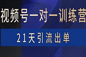 视频号训练营:带货,涨粉,直播,游戏,四大变现新方向,21天引流出单