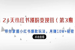 21天小红书涨粉变现营(第3期):带你掌握小红书爆款玩法,月赚10W+秘密