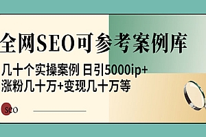 《全网SEO可参考案例库》几十个实操案例 日引5000ip+涨粉百W+变现几十W等