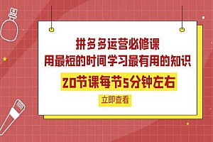 拼多多运营必修课:20节课每节5分钟左右,用最短的时间学习最有用的知识