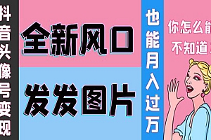 抖音头像号变现0基础教程:全新风口,发发图片也能变现月入10000+