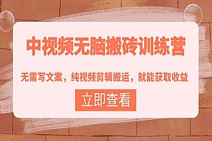 中视频无脑搬砖训练营:无需写文案,纯视频剪辑搬运,就能获取收益!