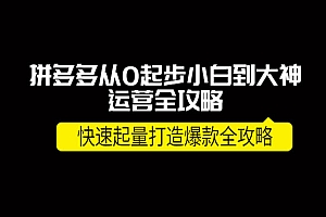 拼多多从0起步小白到大神运营全攻略,快速起量打造10W+爆款全攻略