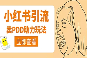 利用小红书卖拼多多助力,日赚100+,顺便还能引个流