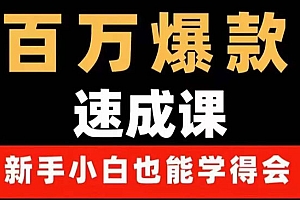 百万爆款速成课:用数据思维做爆款,小白也能从0-1打造百万播放视频