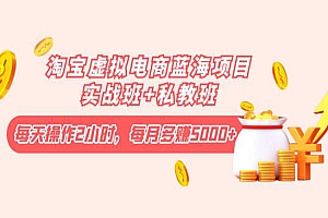 淘宝虚拟电商蓝海项目实战班+私教班:每天操作2小时,每月多赚5000+