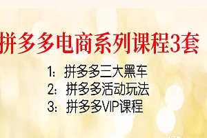 拼多多电商系列课程3套:拼多多三大黑车+拼多多活动玩法+拼多多VIP课程