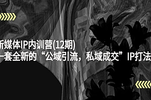 新媒体IP内训营,一套全新的“公域引流,私域成交”IP打法,直接带走