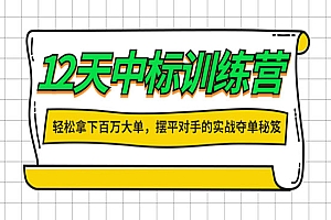 12天中标训练营:轻松拿下百万大单,摆平对手的实战夺单秘笈