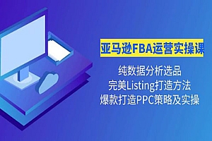 《亚马逊FBA运营实操课》 纯数据分析选品+完美Listing打造+爆款打造PPC策略实操