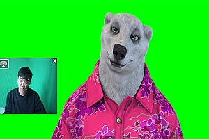 《实时直播换脸卡通形象出镜》卡通形象面部捕捉(软件+教程)