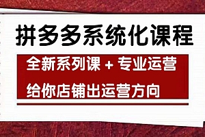 《拼多多系统化课程》全新系列课+专业运营给你店铺出运营方向