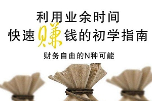 《利用业余时间快速赚钱的初学指南》财务自由的N种可能