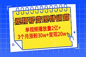 《20天视频号变现特训营》单视频播放量2亿+3个月涨粉30w+变现20w+