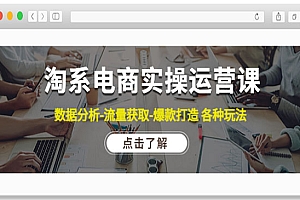 《淘系电商实操运营课》数据分析-流量获取-爆款打造 各种玩法