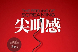 《尖叫感:互联网文案创意思维与写作技巧》:写出更好的文案,吸引更多的用户,让读者尖叫