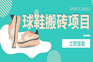 《球鞋搬砖项目,》月入5000+,外面收费998