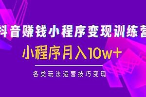 《抖音赚钱小程序变现训练营》小程序月入10w+各类玩法运营技巧变现